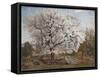 Apple Tree in Blossom-Carl Fredrik Hill-Framed Stretched Canvas