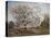 Apple Tree in Blossom-Carl Fredrik Hill-Stretched Canvas