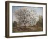 Apple Tree in Blossom-Carl Fredrik Hill-Framed Giclee Print