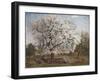 Apple Tree in Blossom-Carl Fredrik Hill-Framed Giclee Print