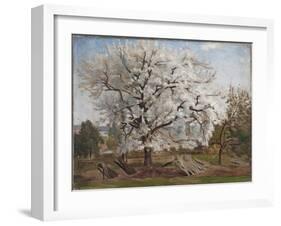 Apple Tree in Blossom-Carl Fredrik Hill-Framed Giclee Print