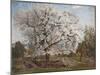 Apple Tree in Blossom-Carl Fredrik Hill-Mounted Giclee Print