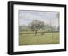 Apple Tree in Flower at Eragny-Camille Pissarro-Framed Giclee Print