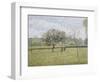 Apple Tree in Flower at Eragny-Camille Pissarro-Framed Giclee Print