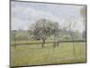 Apple Tree in Flower at Eragny-Camille Pissarro-Mounted Giclee Print