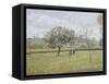 Apple Tree in Flower at Eragny-Camille Pissarro-Framed Stretched Canvas