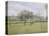 Apple Tree in Flower at Eragny-Camille Pissarro-Stretched Canvas