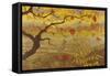 Apple Tree with Red Fruit, c.1902-Paul Ranson-Framed Stretched Canvas