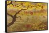 Apple Tree with Red Fruit, c.1902-Paul Ranson-Framed Stretched Canvas
