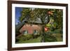 Apple-Tree with Ripe Apples in Front of a Farmhouse-Uwe Steffens-Framed Photographic Print