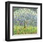 Apple Tree-Jean Cauthen-Framed Giclee Print