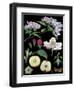 Apple Tree-null-Framed Giclee Print