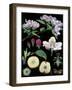 Apple Tree-null-Framed Giclee Print