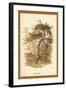 Apple Tree-W.h.j. Boot-Framed Art Print