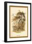 Apple Tree-W.h.j. Boot-Framed Art Print