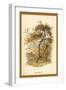 Apple Tree-W.h.j. Boot-Framed Art Print