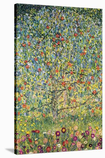 Apple Tree-Gustav Klimt-Stretched Canvas