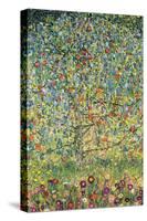 Apple Tree-Gustav Klimt-Stretched Canvas