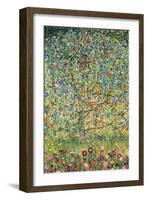 Apple Tree-Gustav Klimt-Framed Art Print