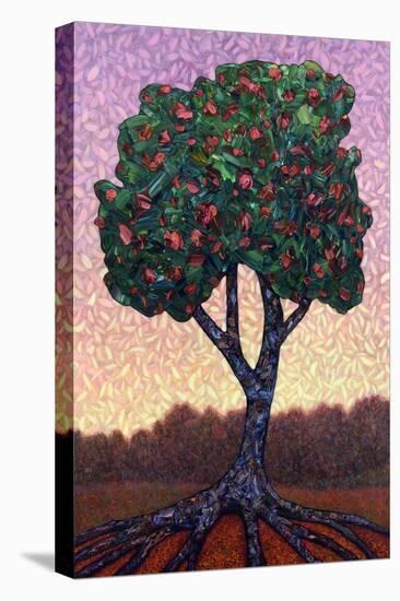 Apple Tree-James W Johnson-Stretched Canvas