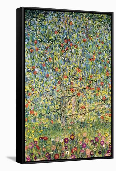 Apple Tree-Gustav Klimt-Framed Stretched Canvas