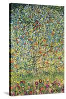 Apple Tree-Gustav Klimt-Stretched Canvas