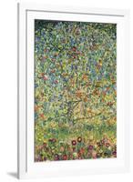 Apple Tree-Gustav Klimt-Framed Art Print