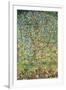 Apple Tree-Gustav Klimt-Framed Art Print