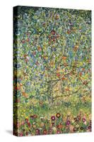 Apple Tree-Gustav Klimt-Stretched Canvas