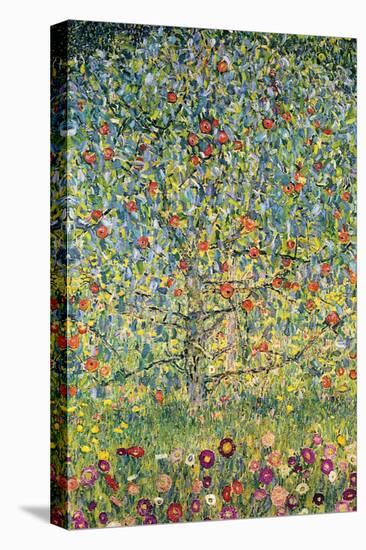 Apple Tree-Gustav Klimt-Stretched Canvas