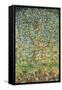 Apple Tree-Gustav Klimt-Framed Stretched Canvas