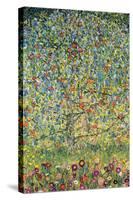 Apple Tree-Gustav Klimt-Stretched Canvas