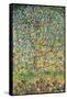 Apple Tree-Gustav Klimt-Framed Stretched Canvas