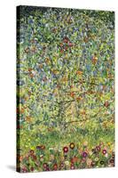 Apple Tree-Gustav Klimt-Stretched Canvas