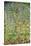 Apple Tree-Gustav Klimt-Stretched Canvas