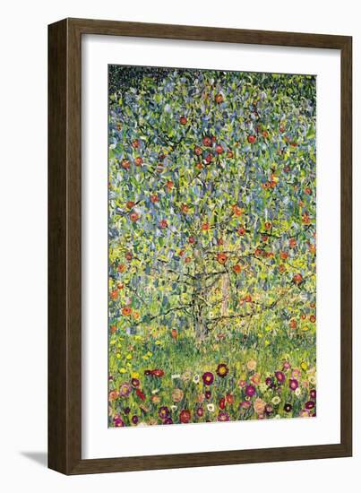 Apple Tree-Gustav Klimt-Framed Art Print