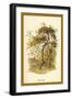 Apple Tree-W.h.j. Boot-Framed Art Print