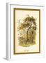 Apple Tree-W.h.j. Boot-Framed Art Print