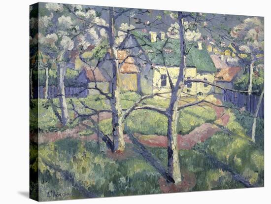 Apple Trees, 1904-Kasimir Malevich-Stretched Canvas