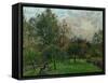 Apple Trees and Poplars in a Sunset, 1901-Camille Pissarro-Framed Stretched Canvas