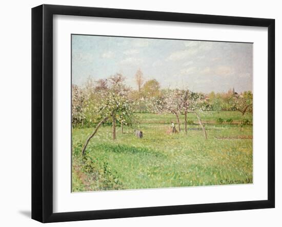 Apple Trees at Gragny, Afternoon Sun, 1900-Camille Pissarro-Framed Giclee Print