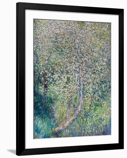 Apple trees in bloom at water's edge, 1880 (oil on canvas)-Claude Monet-Framed Giclee Print