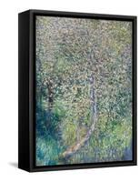 Apple trees in bloom at water's edge, 1880 (oil on canvas)-Claude Monet-Framed Stretched Canvas