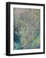 Apple trees in bloom at water's edge, 1880 (oil on canvas)-Claude Monet-Framed Giclee Print