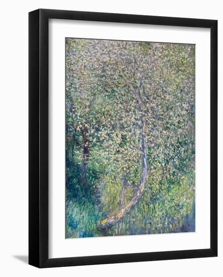 Apple trees in bloom at water's edge, 1880 (oil on canvas)-Claude Monet-Framed Giclee Print