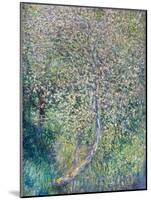 Apple trees in bloom at water's edge, 1880 (oil on canvas)-Claude Monet-Mounted Giclee Print