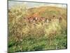 Apple Trees in Blossom, 1879-Claude Monet-Mounted Giclee Print