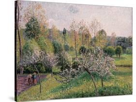 Apple Trees in Blossom, Eragny, 1895-Camille Pissarro-Stretched Canvas