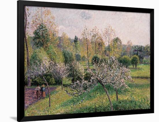 Apple Trees in Blossom, Eragny, 1895-Camille Pissarro-Framed Giclee Print