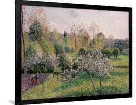 Apple Trees in Blossom, Eragny, 1895-Camille Pissarro-Framed Giclee Print